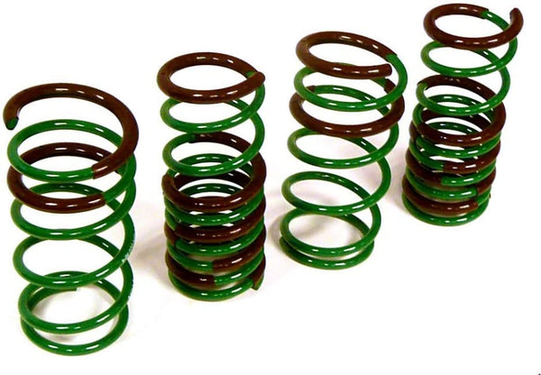 Tein Lower Spring S.TECH 2001-2005 Honda Civic (F:-1.6 R:-1.6)  (NOT for Si EP3)